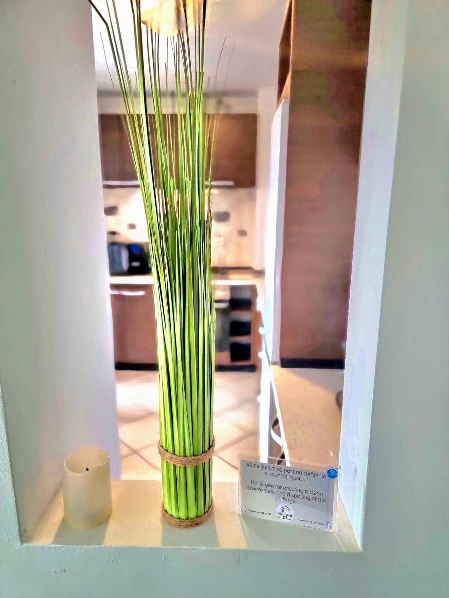 Ferienwohnung Ring Timişoara Exterior foto